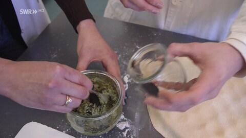 Zu sehen ist Algenpulver, das in Pesto gemischt wird, tags: Inhaltsstoffe, Mikroalgen, Fischalternative