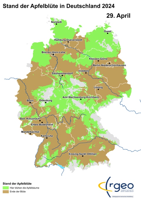 29. April Landkarte der Apfelblüte in Deutschland am 29. April 2024 (Foto: SWR)